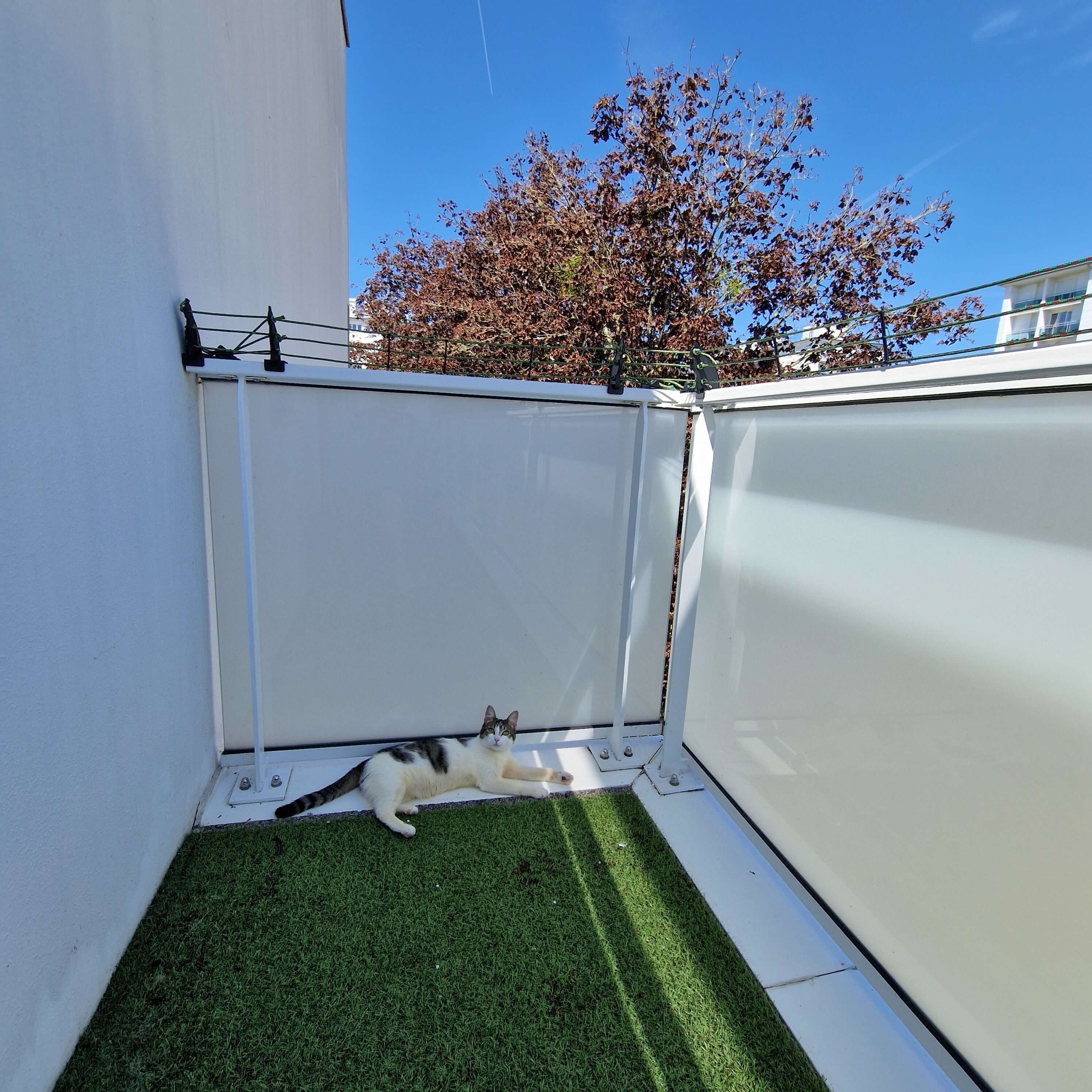 20240810_152710.jpg__PID:a23d6b85-5c01-45dd-8f50-9ed99b7d1285