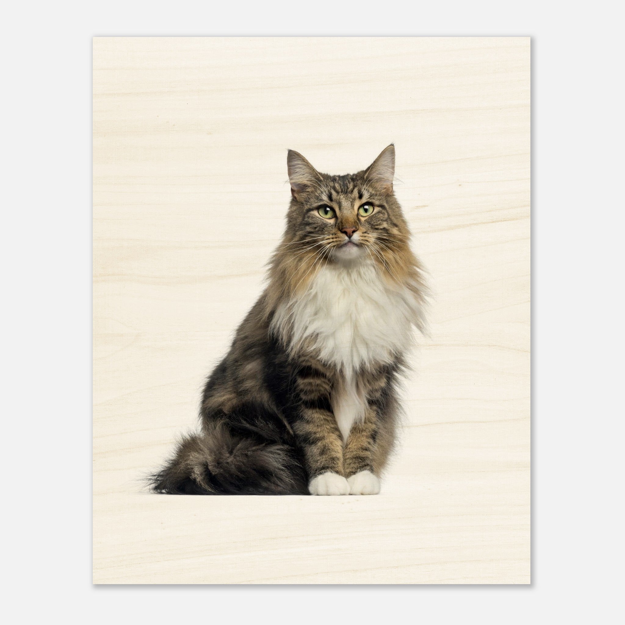 8391b465-cecc-499d-b19b-c48d4791f44a