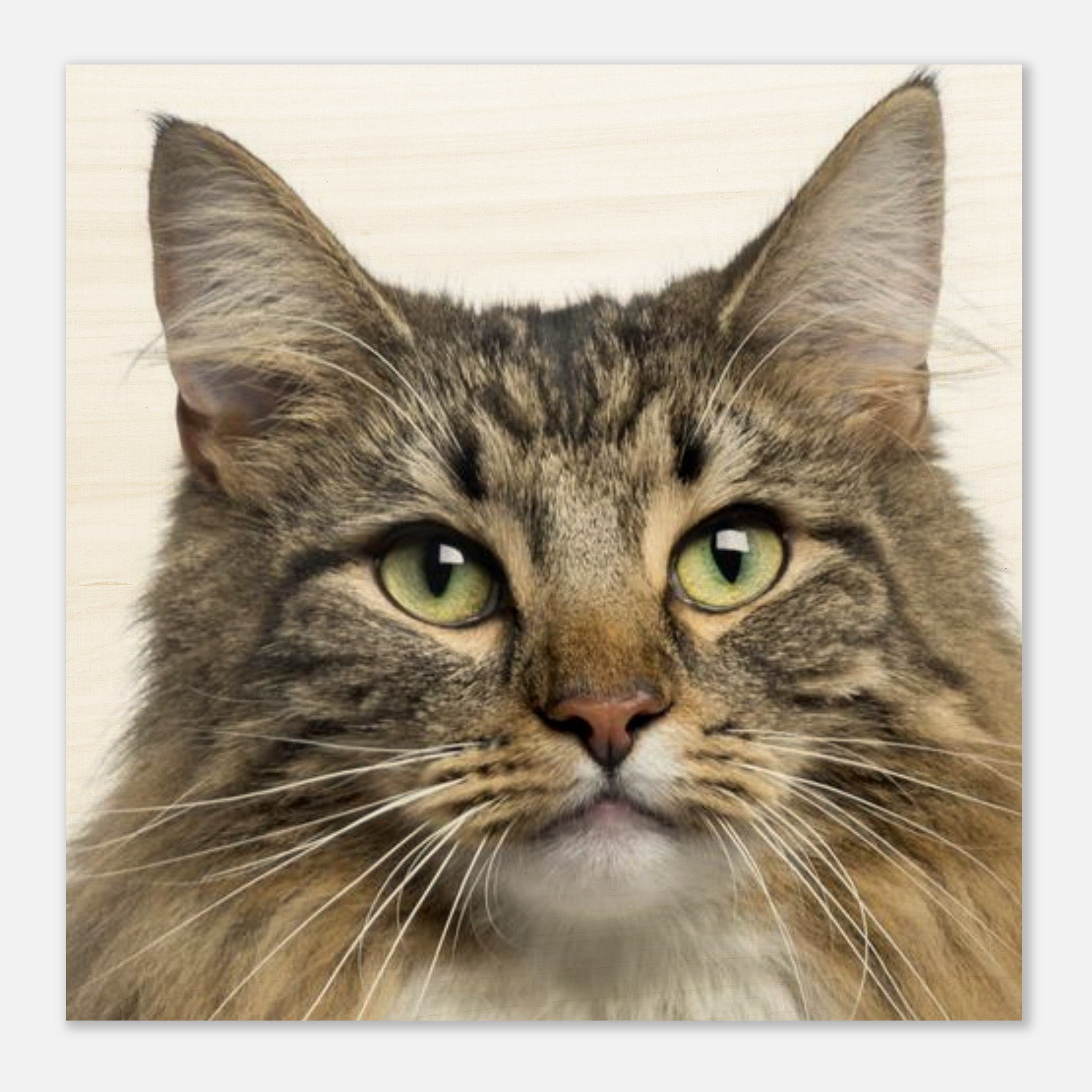 9acac26d-1b93-4e74-8bad-95336c0ffab3