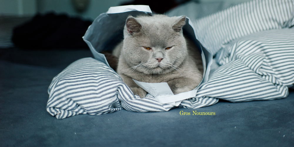 Catsafe'Shop utilise un procédé unique pour la protection de votre balcon contre l'irrésistible envie de vos chats de grimper sur votre rambarde - une installation simplifiée