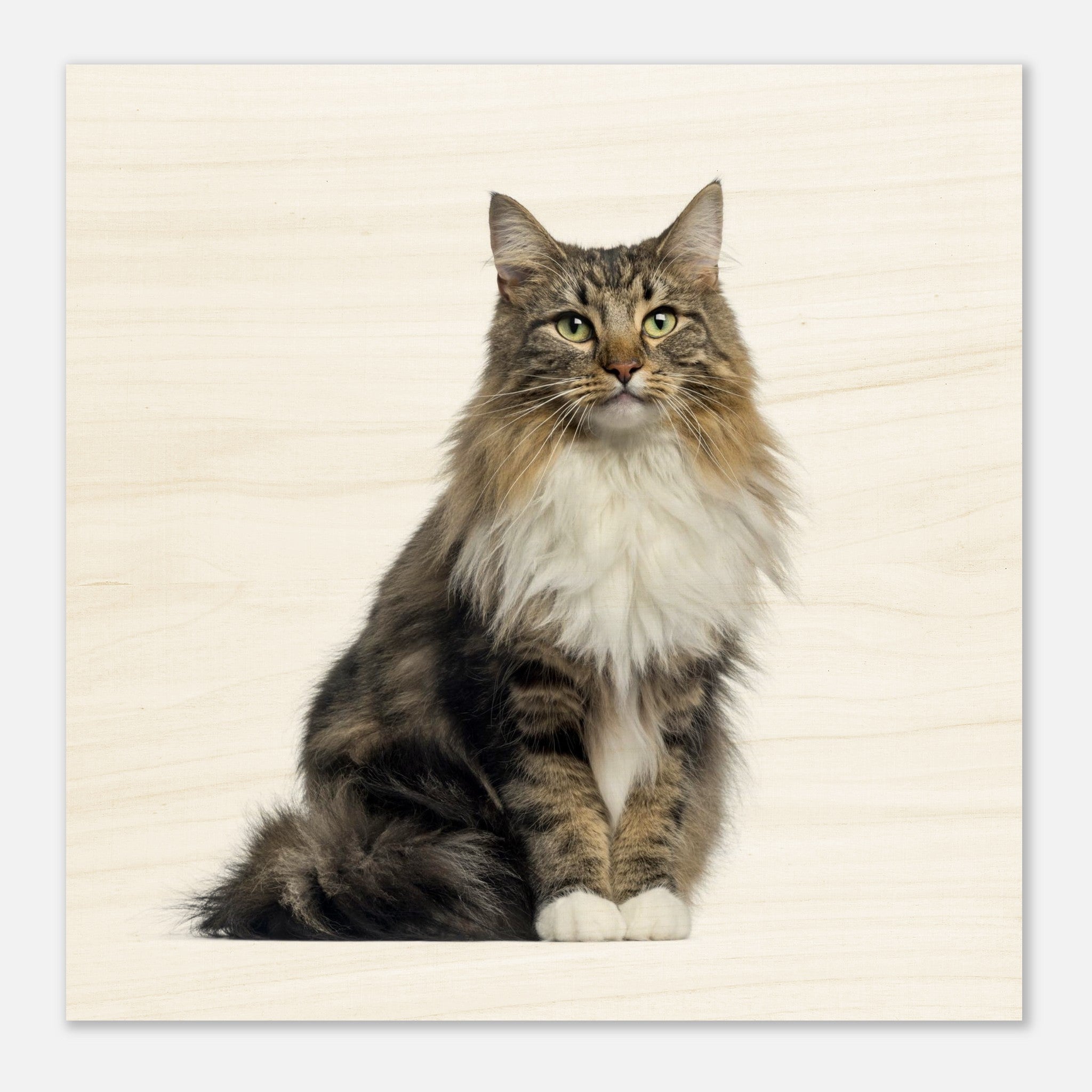 b74b1ad5-bb15-4b53-8d7b-9eb87d6bf2b1