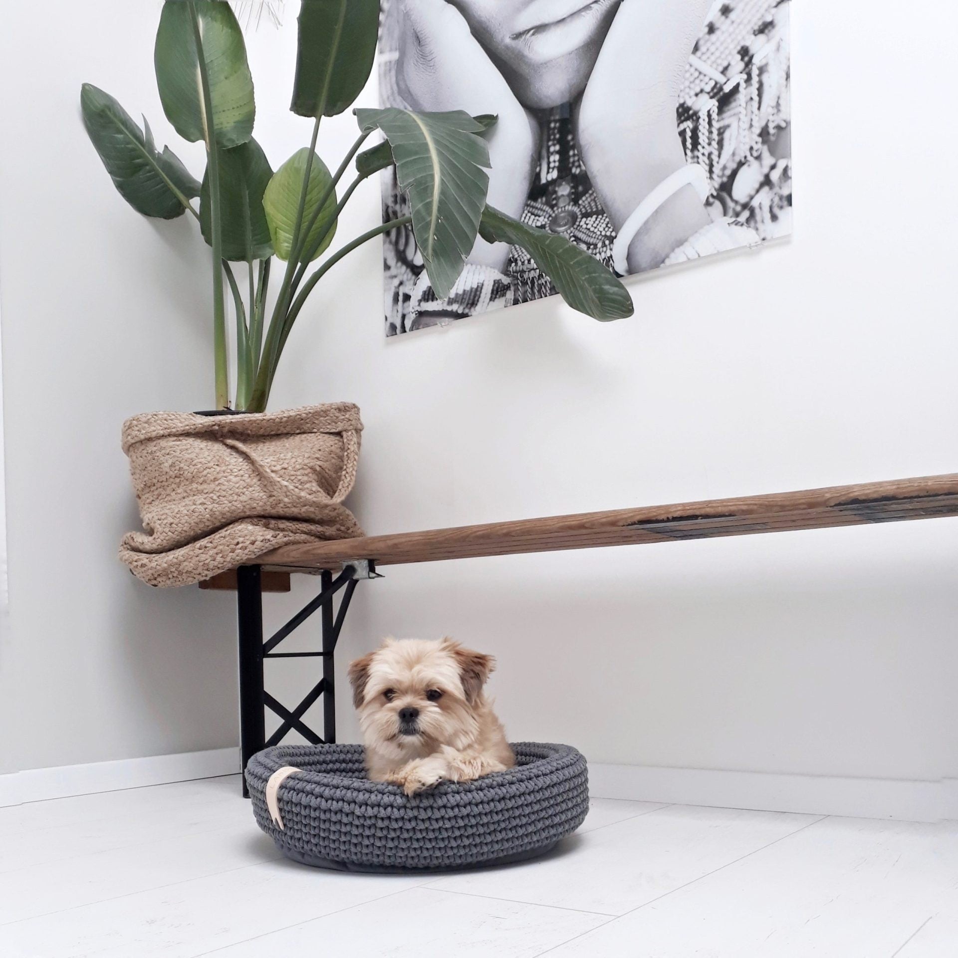 Coco Dog/Cat Bed - Anthracite
