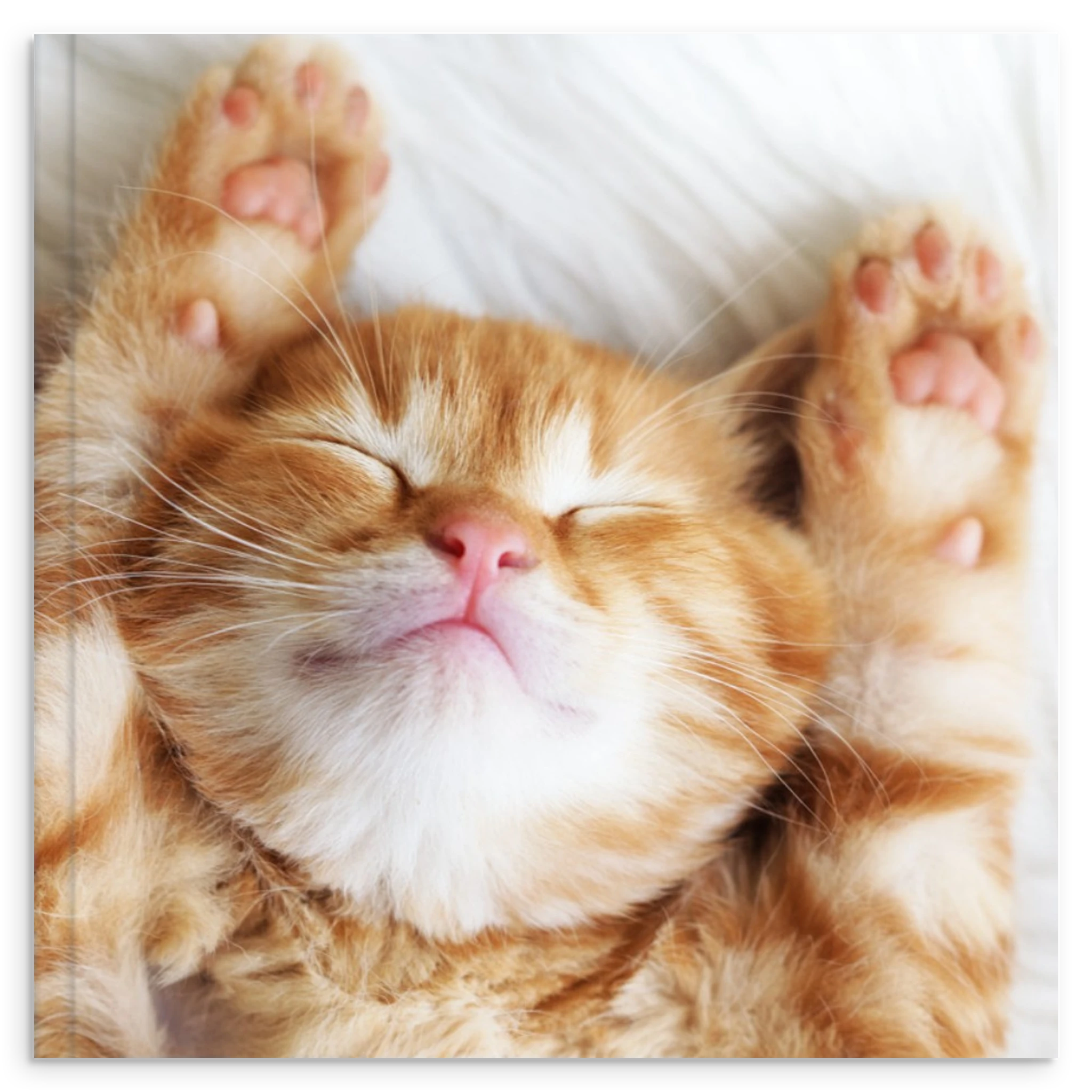 d7cf7c2a-b340-4fc1-8d7d-290fb3c8a9be