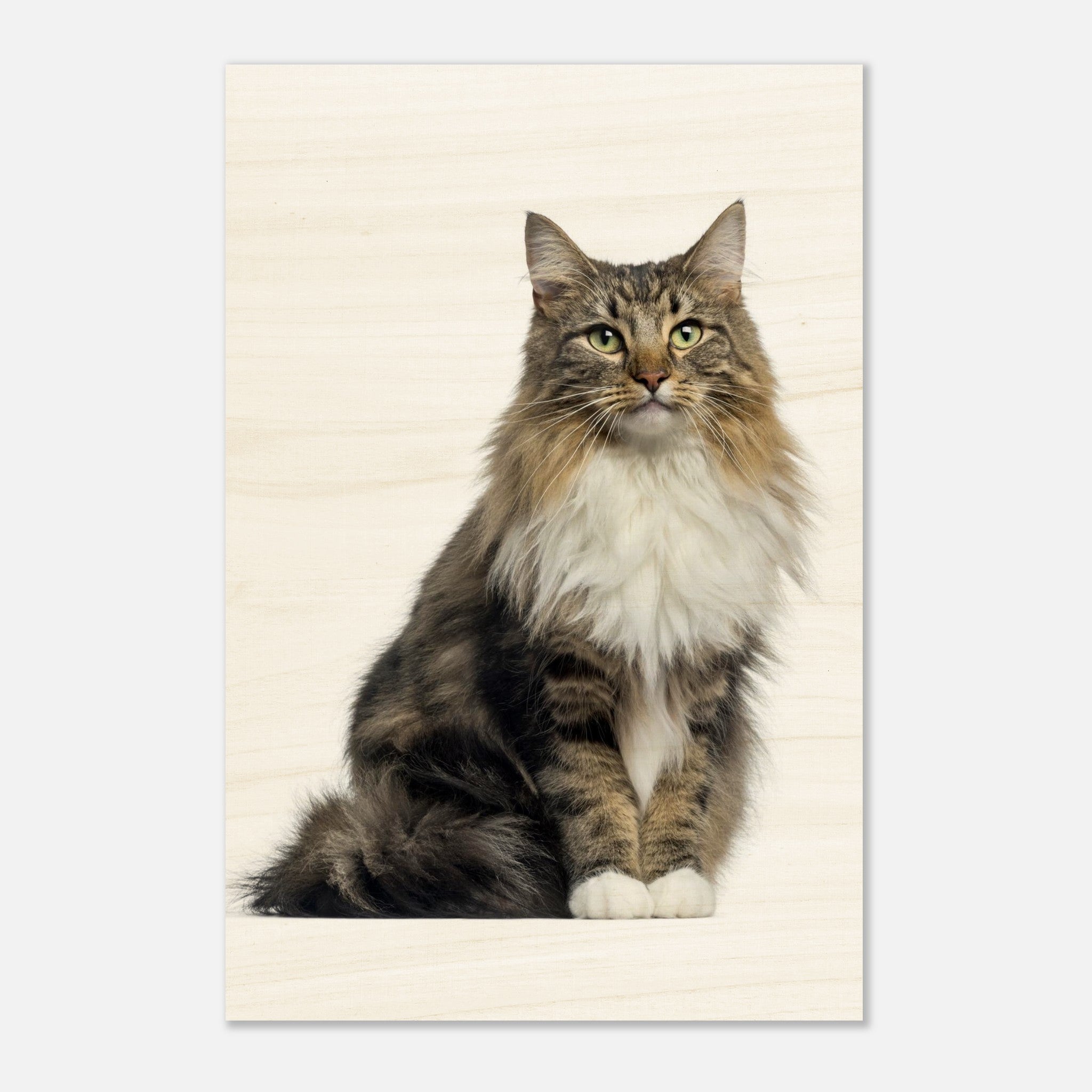 f29a0539-5de5-40a3-8faa-d96670709af6