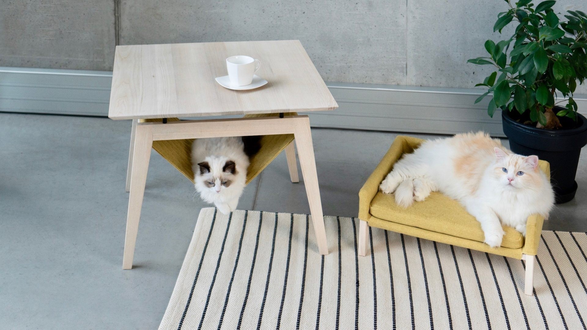Kikko Table & Lulu Bed for Cat - Honey