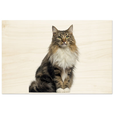 0fa653d1-04df-49a0-9614-9ccc8f070a35