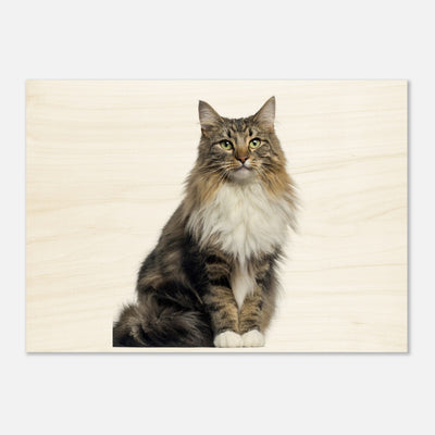 1d430953-e95f-45a5-b790-e4f416aa3a8c