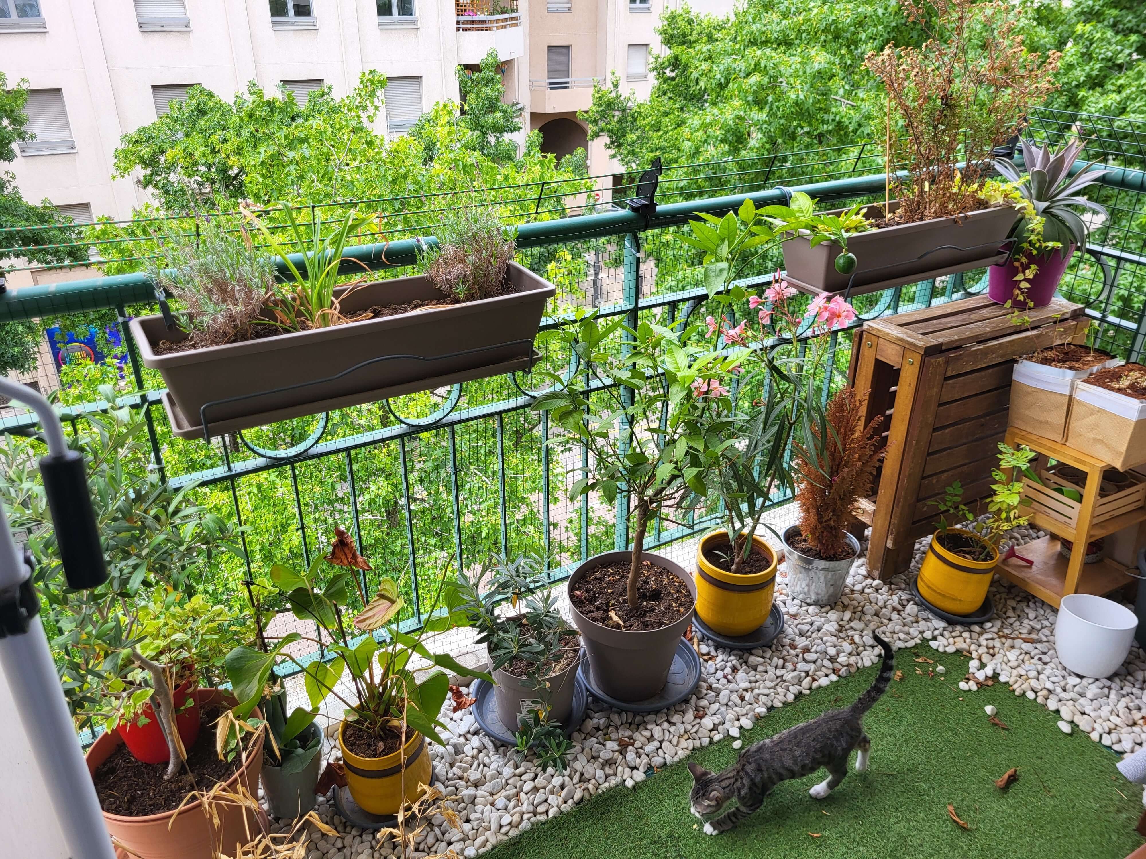 20240713_134828.jpg__PID:3336f0f7-77f3-4463-b4a1-4ce53c924a93