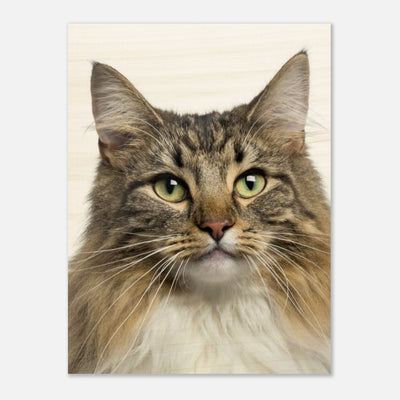 2c70fecb-75e0-48ab-a260-567780f2b3e8