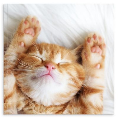 310146b4-d92e-433f-a73a-3dce7c138585