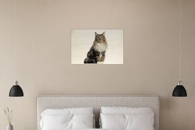 33bdad00-38f5-4392-85ce-e853fd057a51