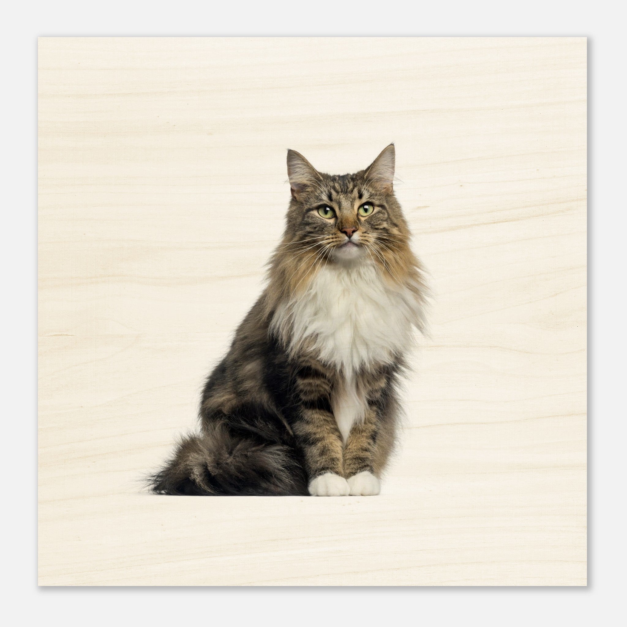 3b1f71df-16b6-4481-b7a6-4c225383bd64