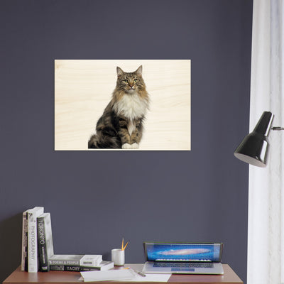 3e3e92d8-e554-43bb-a8cb-9f6d3da99297