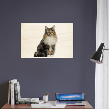 3e3e92d8-e554-43bb-a8cb-9f6d3da99297