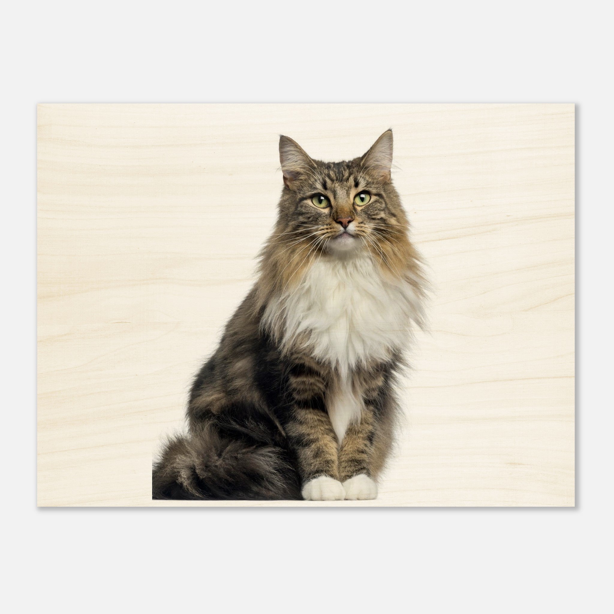 4543b639-ec5b-4cdf-a67c-9e60eadfc3c0