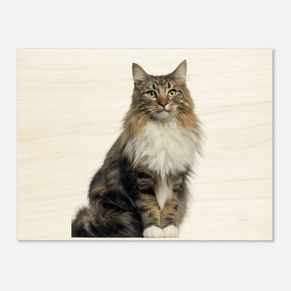 479af52c-4cd2-4fc6-997b-bc3ae25ff494