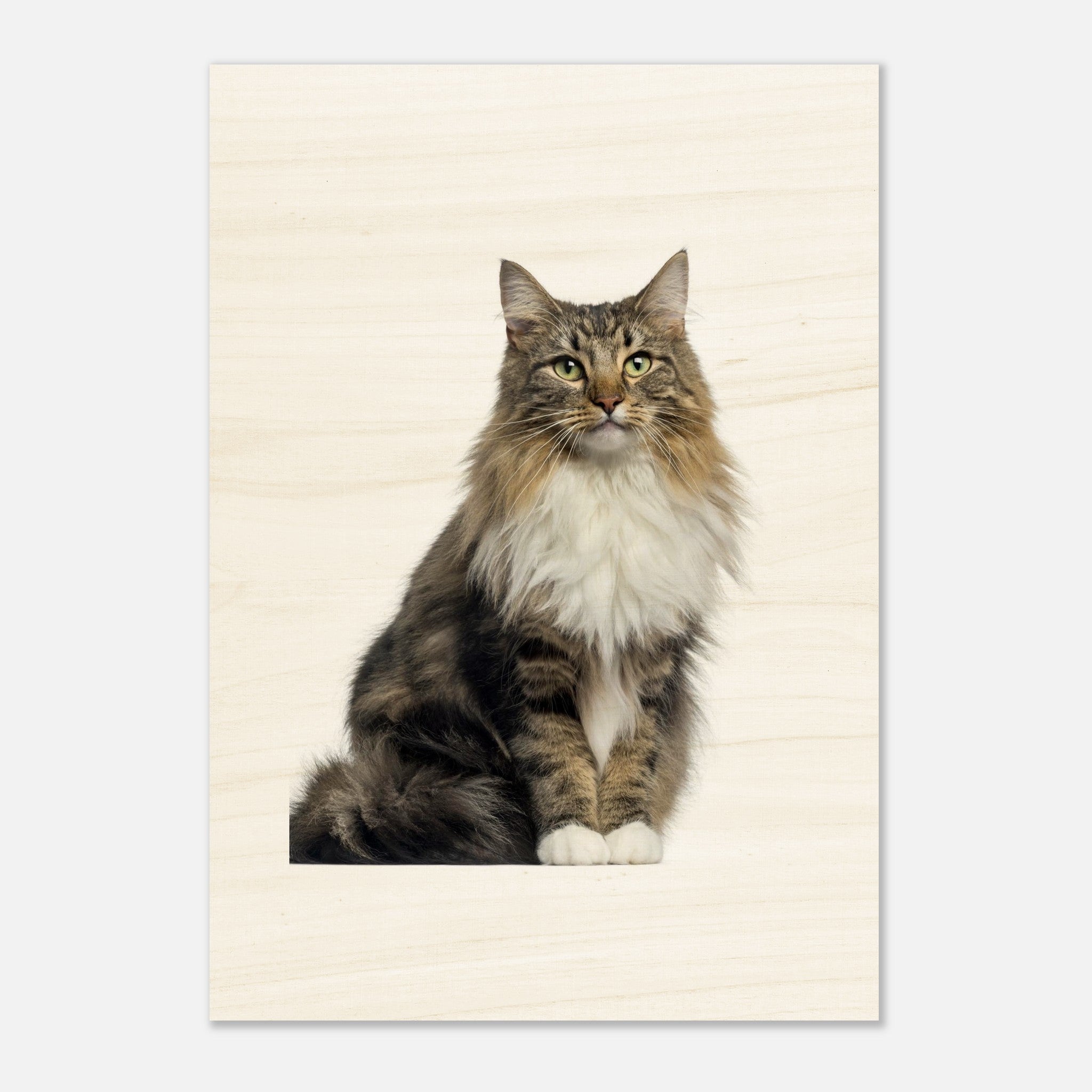 4d331f57-5519-4999-9743-8780da4bcf2d