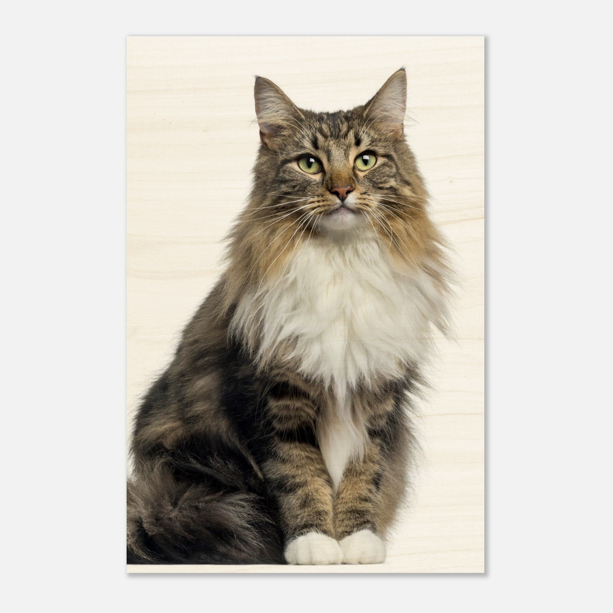 641f605f-3172-45e3-adf4-5288ee15533f