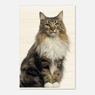 641f605f-3172-45e3-adf4-5288ee15533f