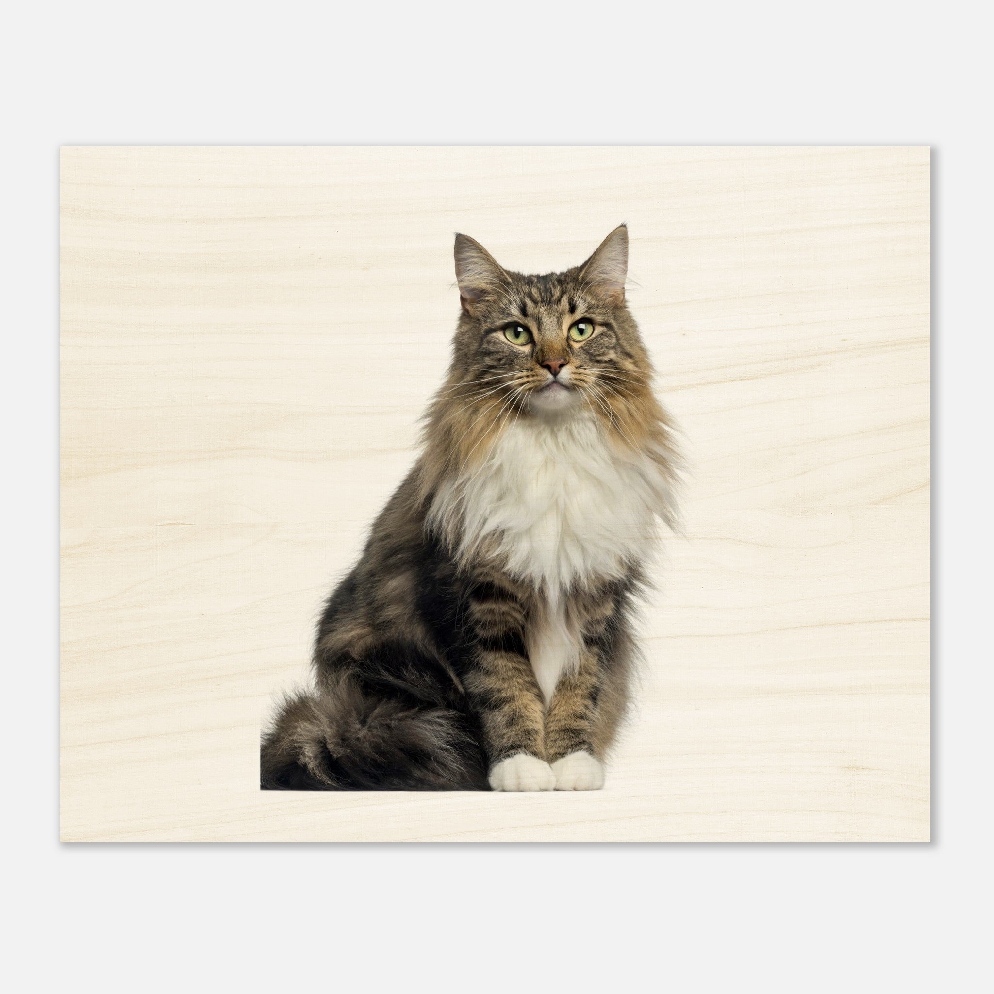 76c95031-1426-4ff5-b3dd-ec2c2cfef006