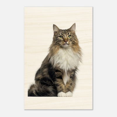 7ba82ee4-5b6d-40b2-be29-99c091c5228c