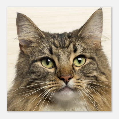 9acac26d-1b93-4e74-8bad-95336c0ffab3