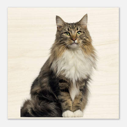 9f9bf068-47b0-4adf-939c-ea5ea835599c