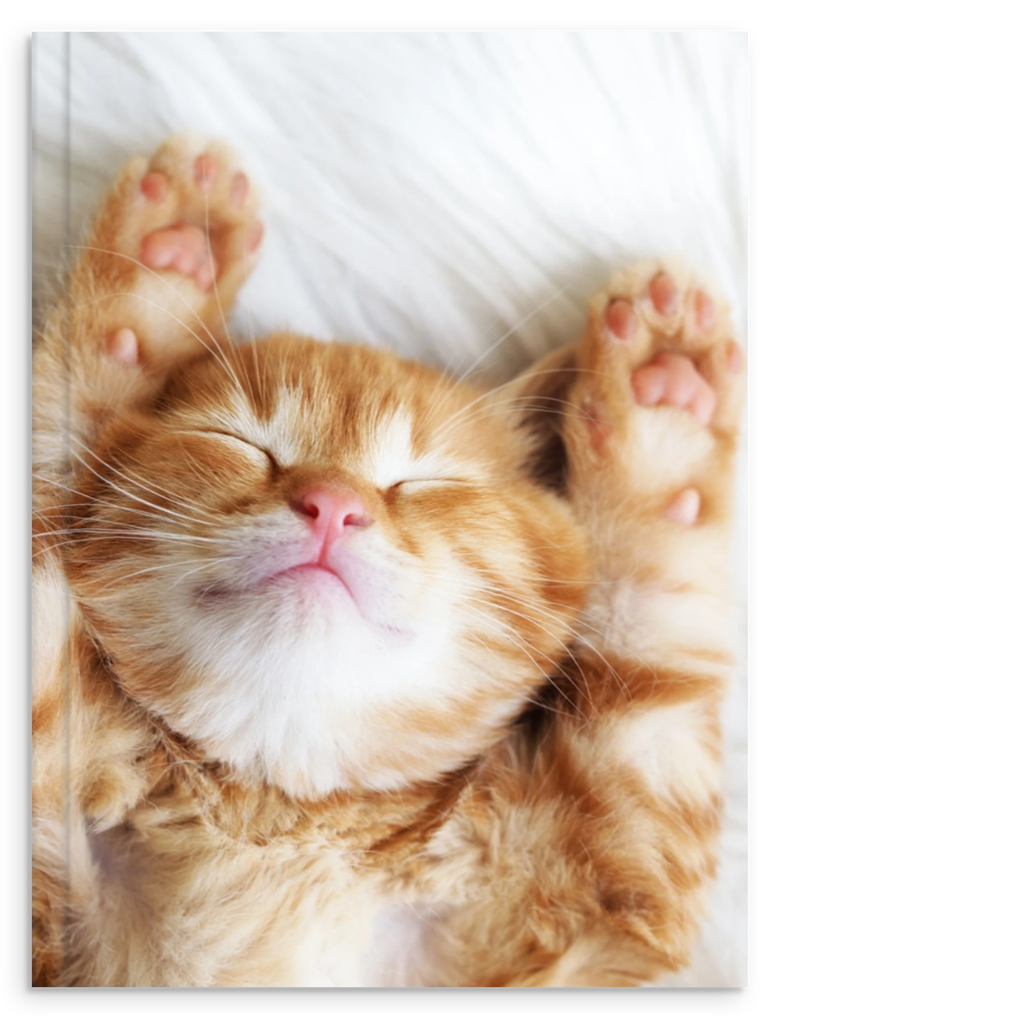 a4423a37-8412-410f-b29e-5e0302626f0e