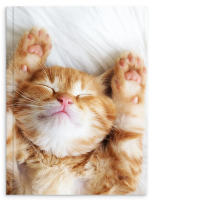 a4423a37-8412-410f-b29e-5e0302626f0e