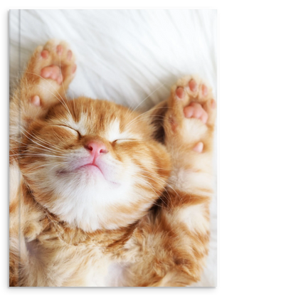 a4423a37-8412-410f-b29e-5e0302626f0e