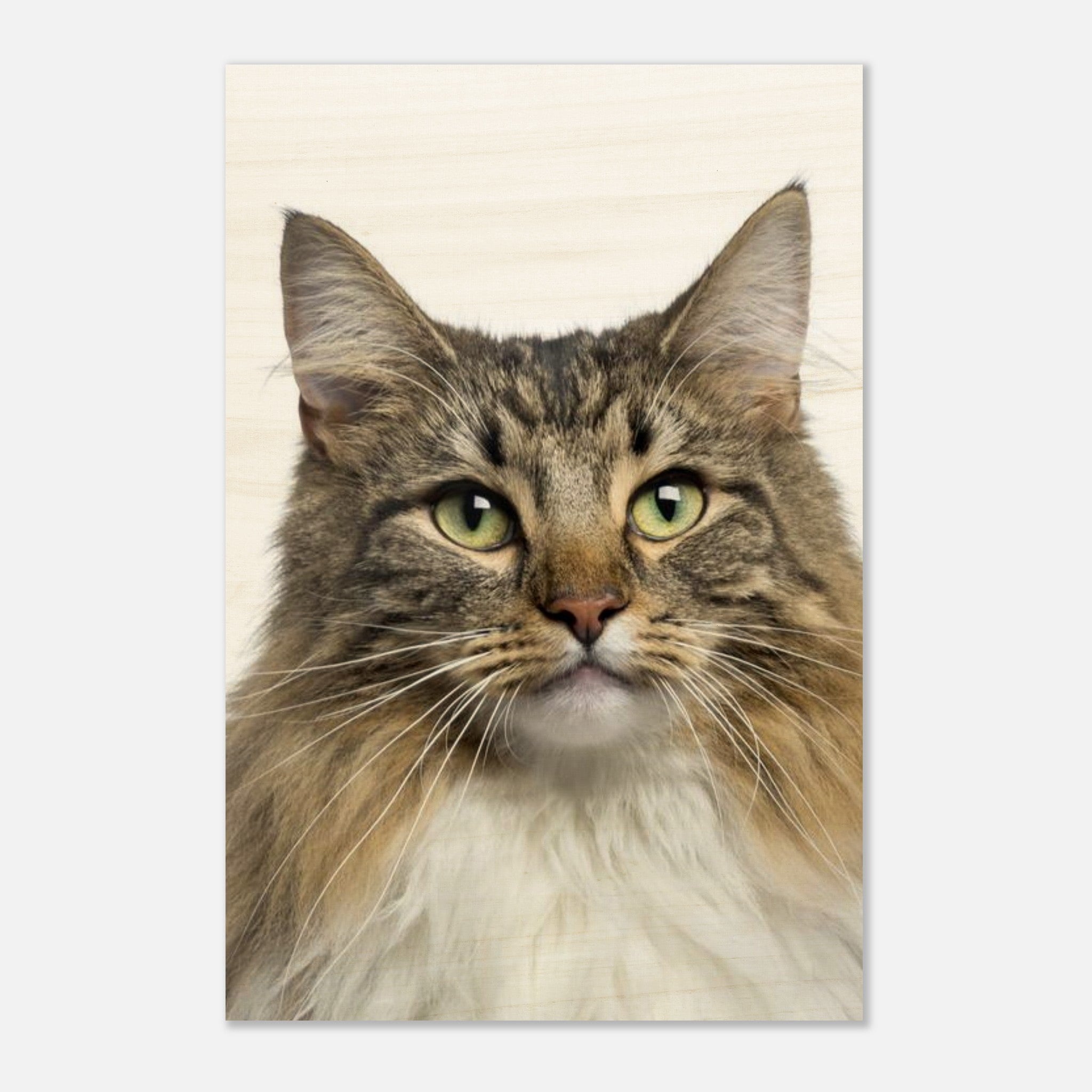 acd43c6f-b12b-4eb1-b0f2-a1c84df618de