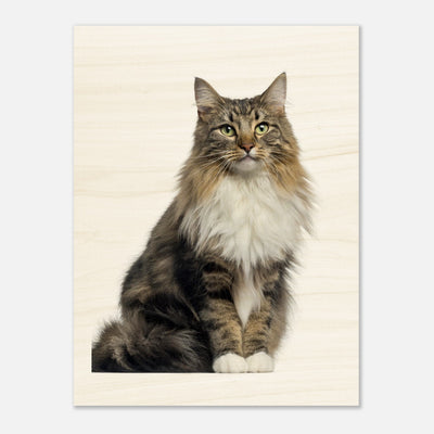 af074b01-9bb1-4f97-a9c7-2994e5e2cb91