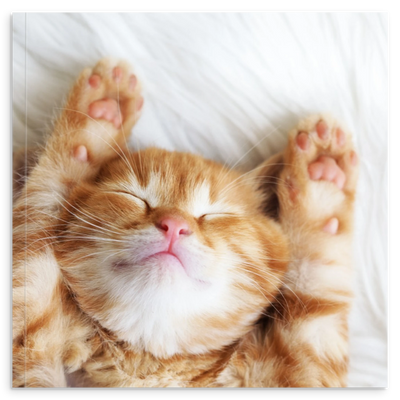 b18fdb52-b936-47c7-8d30-fb9c16b92155