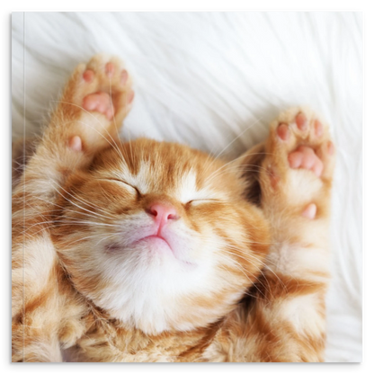 b18fdb52-b936-47c7-8d30-fb9c16b92155