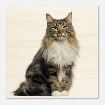 b6c9f7c7-3f0c-4efa-add6-2ac60daed94c