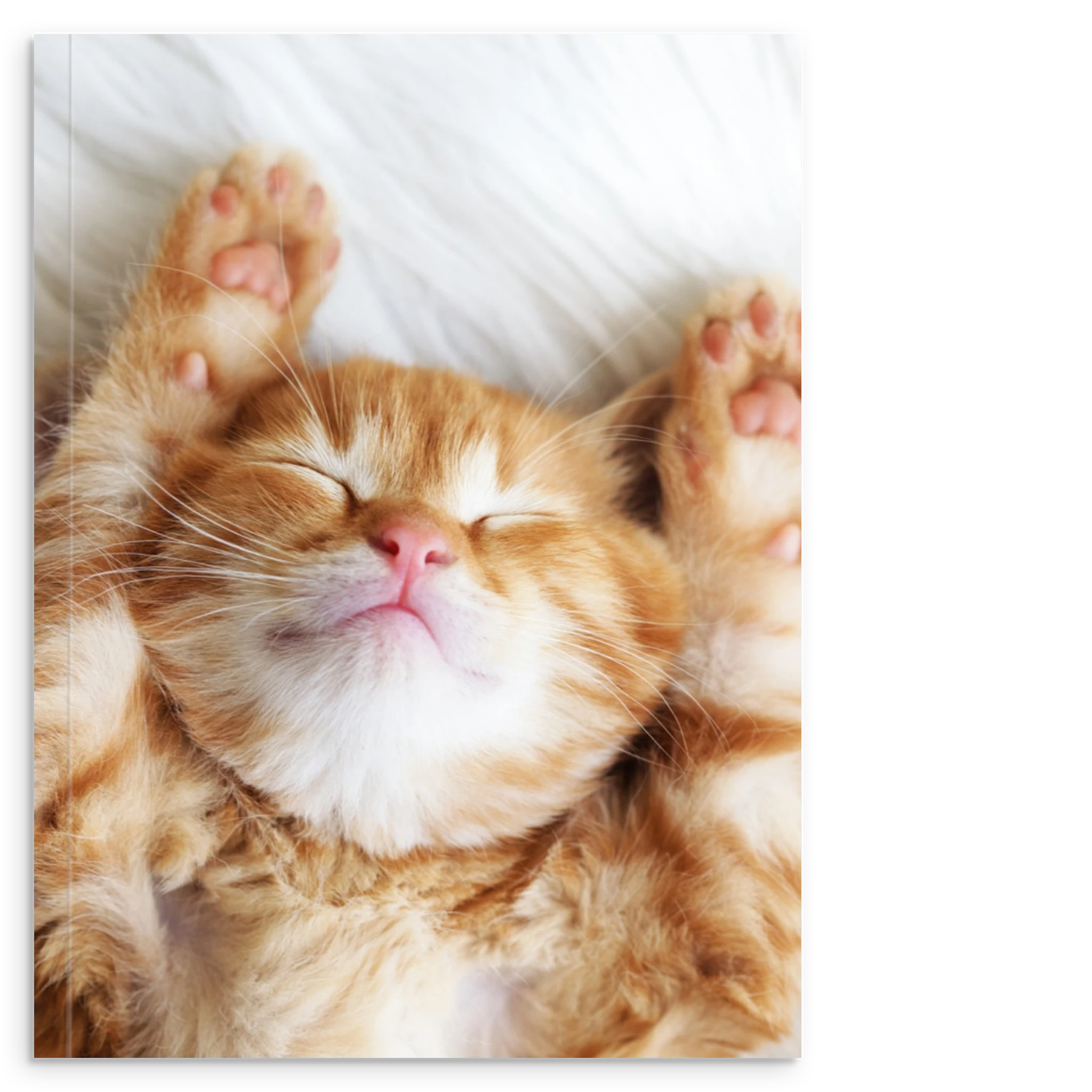 bf28bda7-13b6-4b85-8d83-2ab1b1b61156