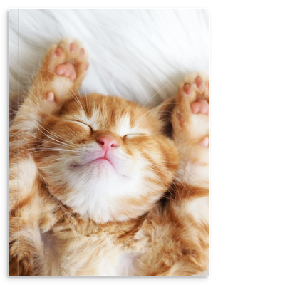 bf28bda7-13b6-4b85-8d83-2ab1b1b61156