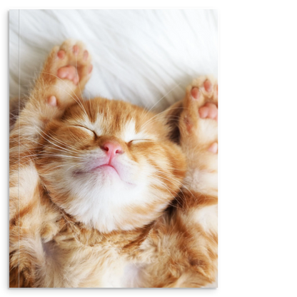 bf28bda7-13b6-4b85-8d83-2ab1b1b61156