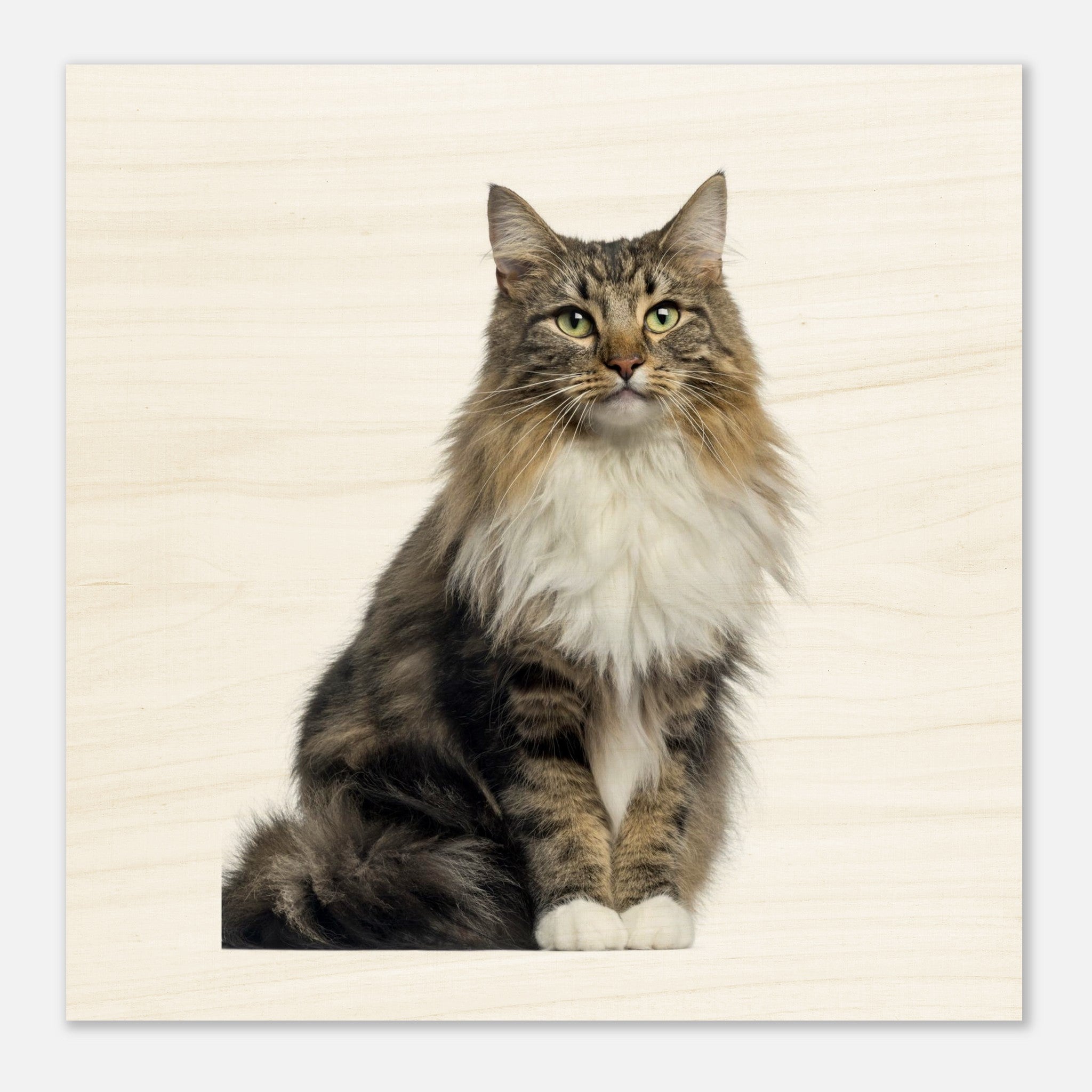 c2740830-5a59-409c-b16c-7decc1a79dcc