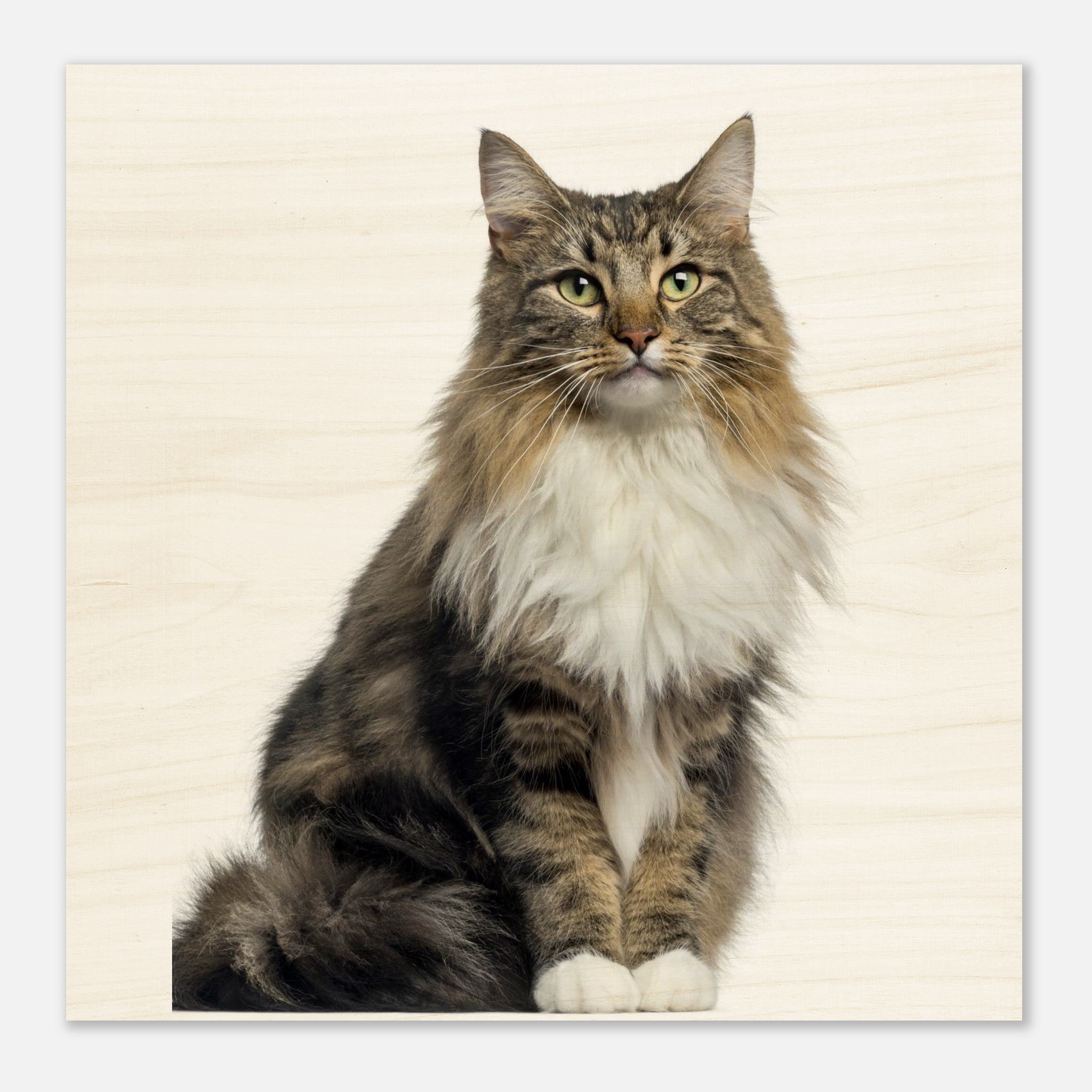 c9a4f4d4-7072-4467-a263-06d2291e0435