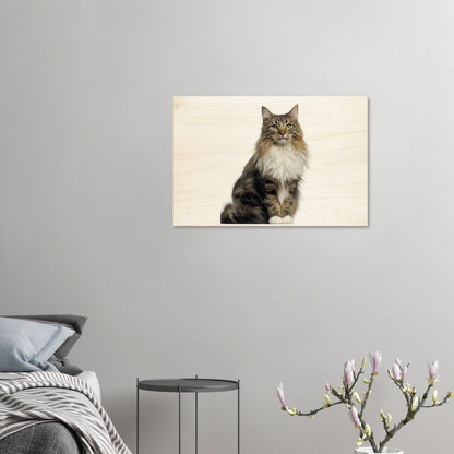 cff6e8e1-2a18-462d-8f71-6b63be6db708