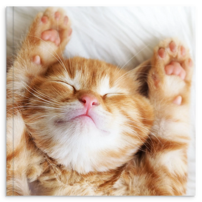 d7cf7c2a-b340-4fc1-8d7d-290fb3c8a9be