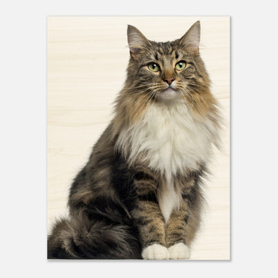 df49d217-2f95-4317-8842-c4af70cde2ec