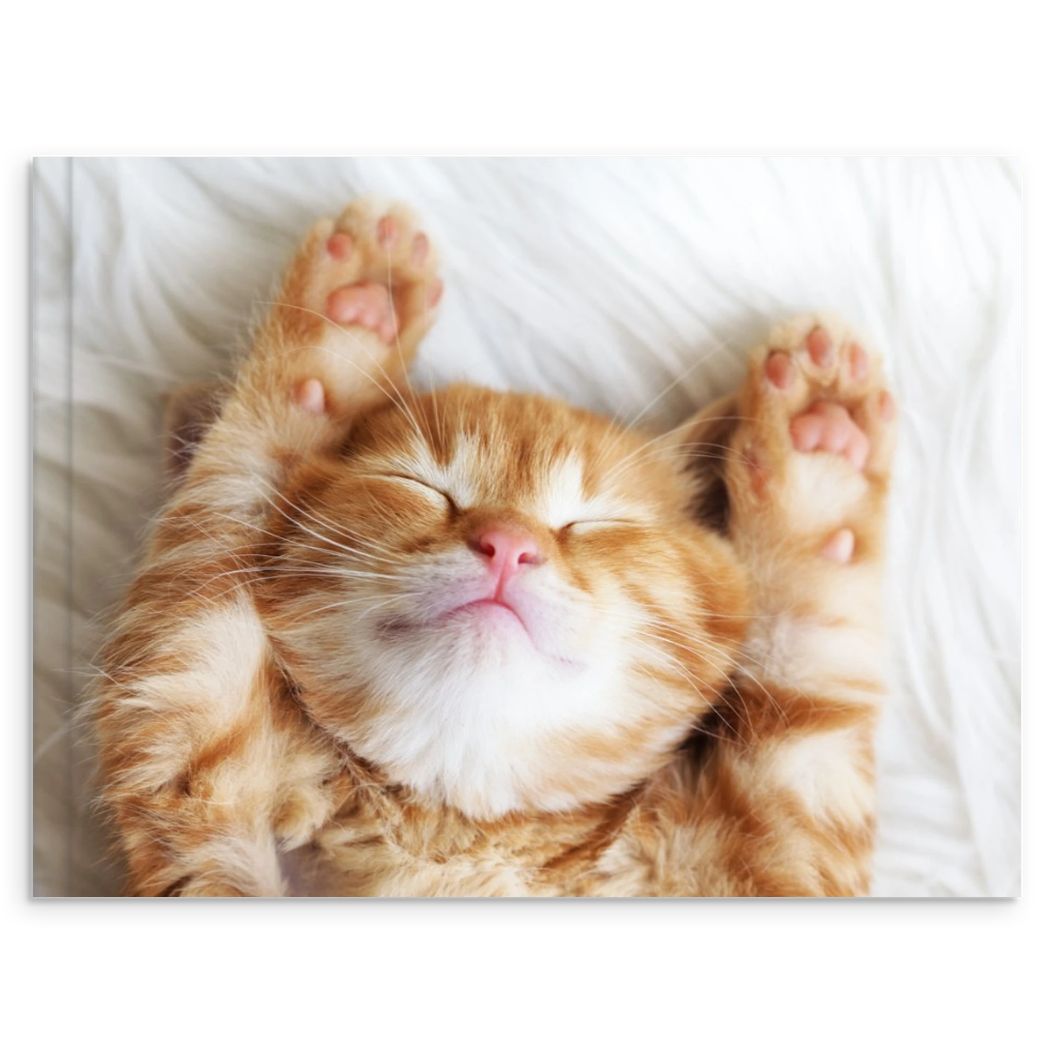 e046746f-1661-4fa2-be83-b1d044ba9a27