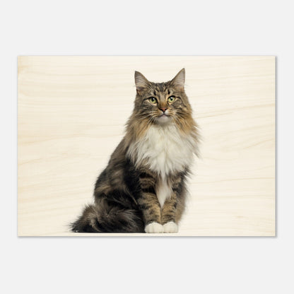 fe0ccbab-bfde-4fc4-8838-ee2cab9af873