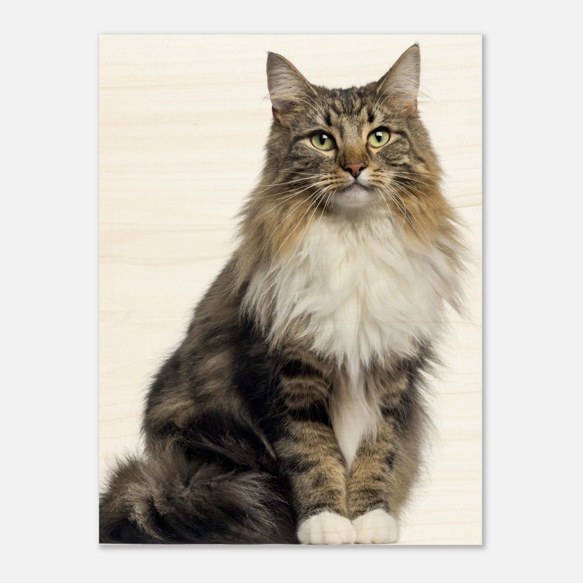 ff3314fb-7e08-4606-83e5-730802e75686